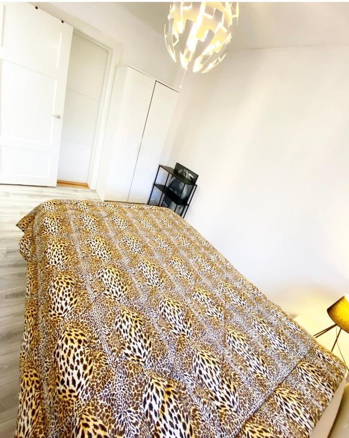 Apartment In Most Pop-Ular Area Norrebro コペンハーゲン エクステリア 写真