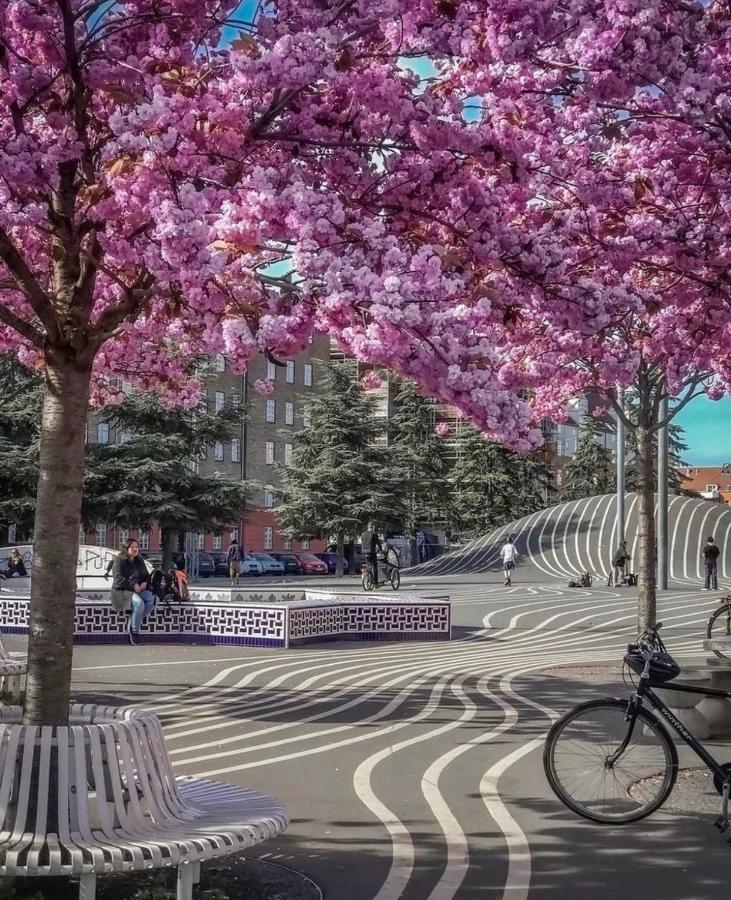Apartment In Most Pop-Ular Area Norrebro コペンハーゲン エクステリア 写真